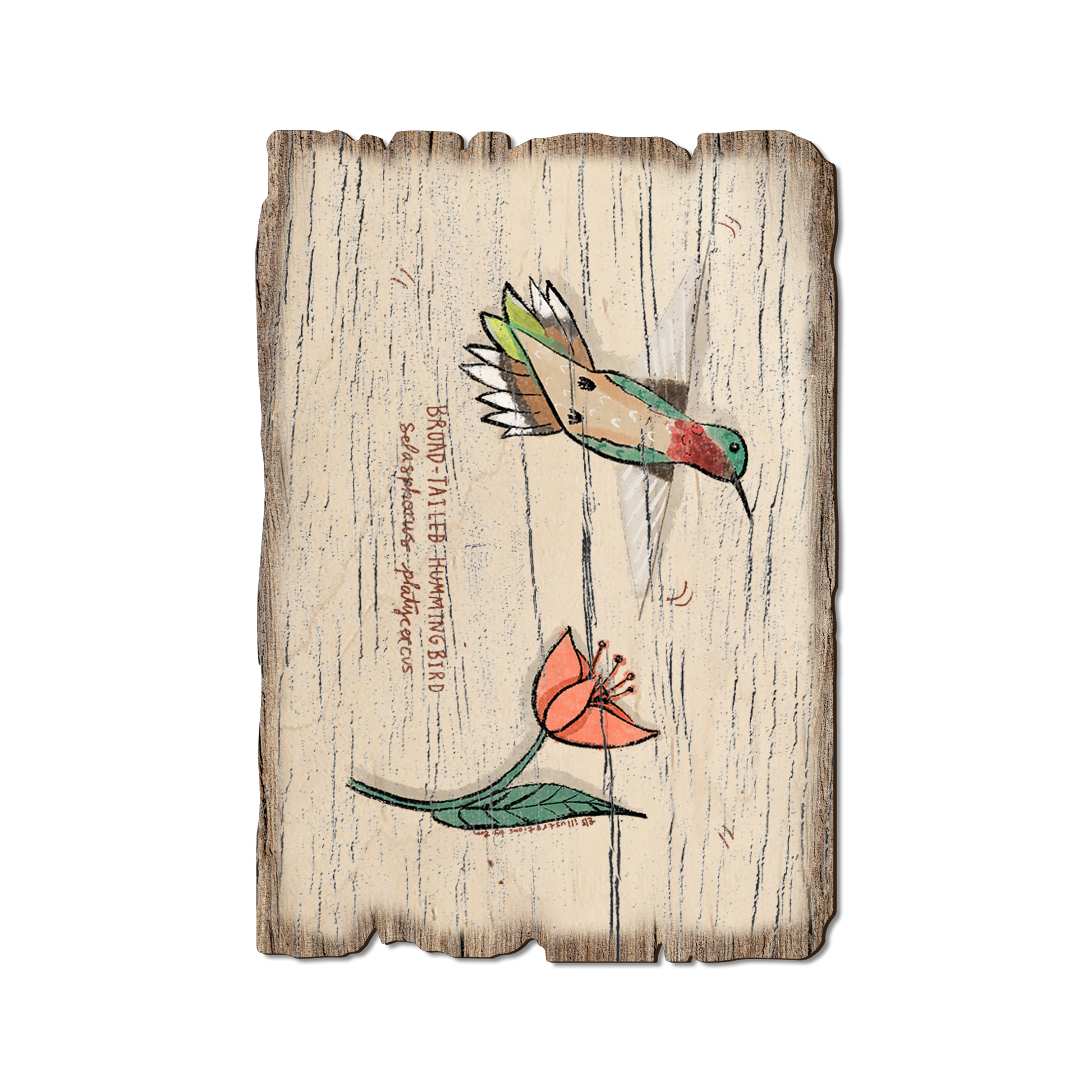 Postcard: Weathered Edge - Broad (Pack of 5)