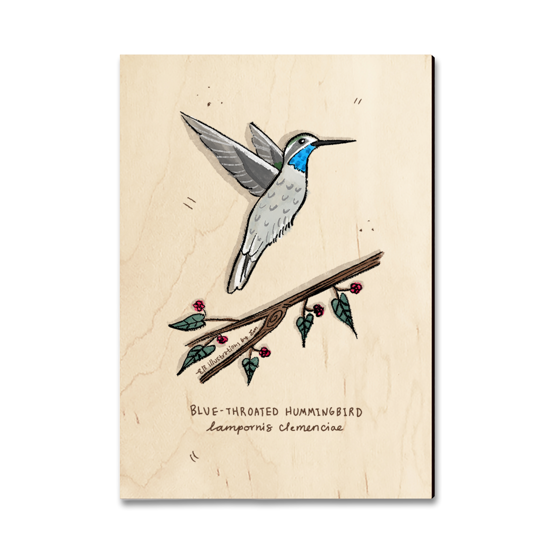 Postcard: Classic Edge - Blue