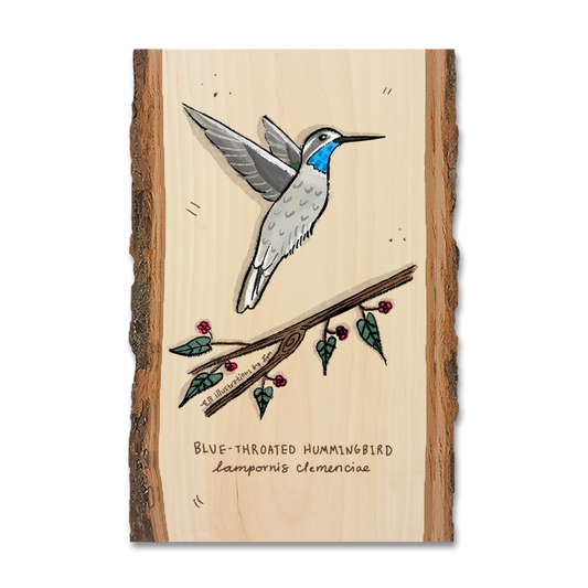 Greeting Card: Live Edge - Blue