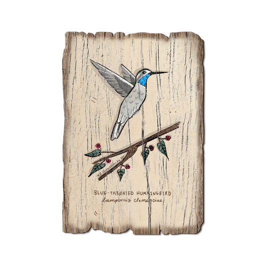 Greeting Card: Weathered Edge - Blue (Pack of 5)