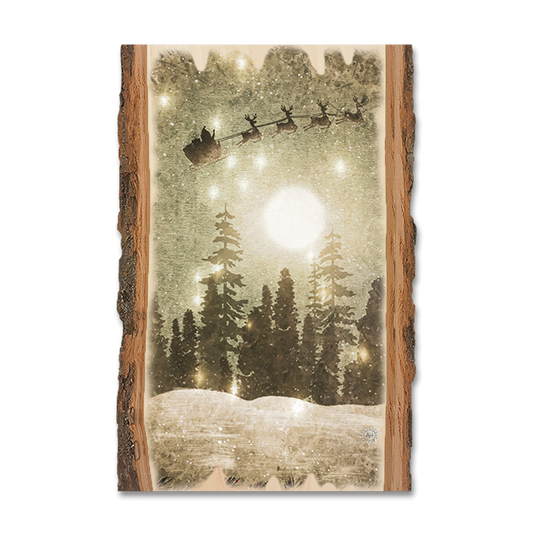 Magnet: Live Edge - Circle Christmas Cat