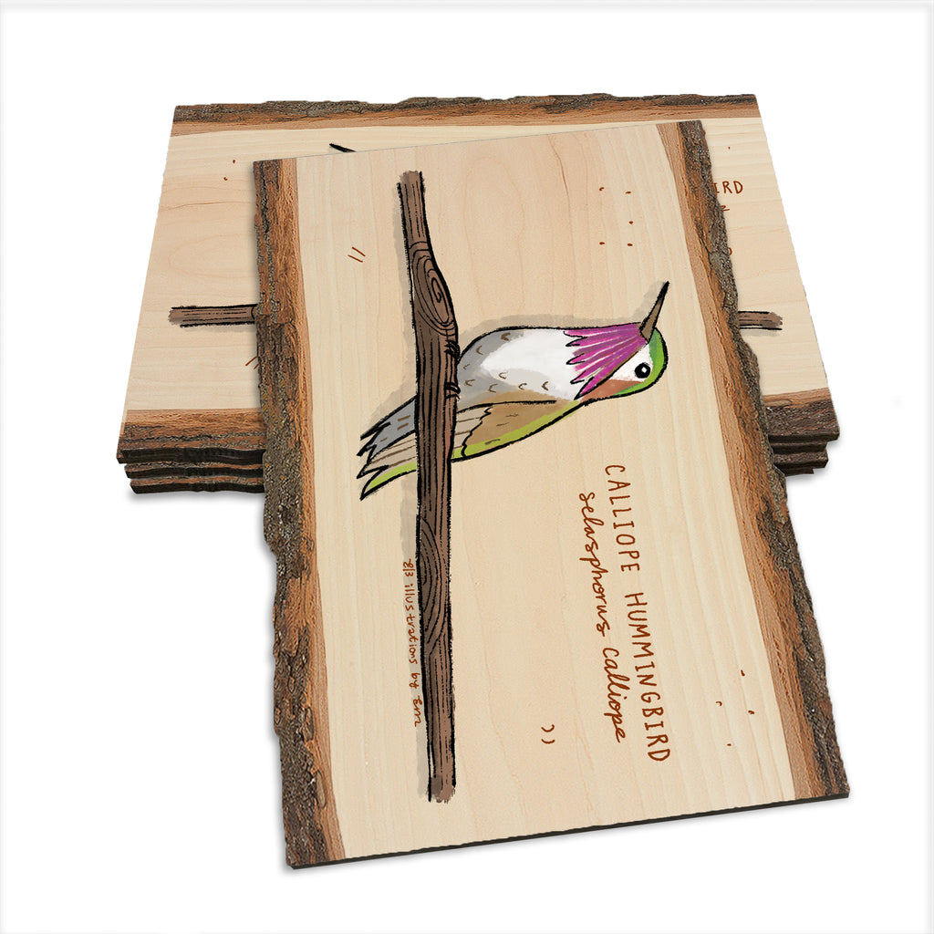 Calliope Hummingbird - Live Edge Live Edge Postcard (5pk // $2.80ea)