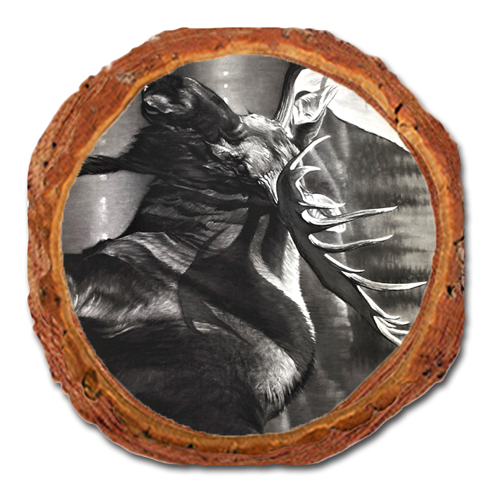 Coaster: Live Edge - Johnson's Boreals Beast (Pack of 5)
