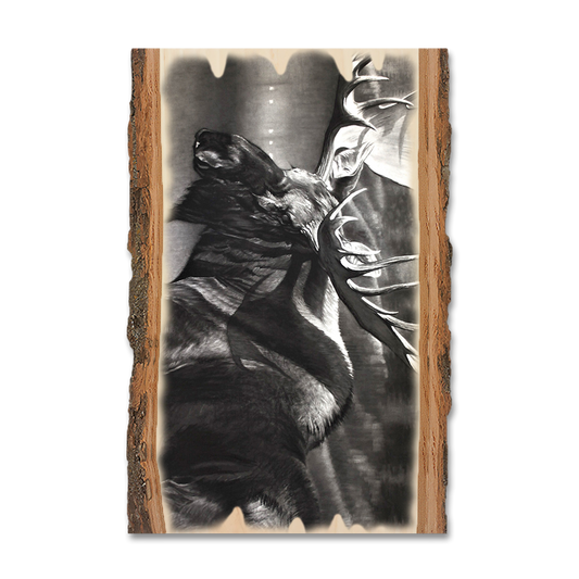 Magnet: Live Edge - Johnson's Boreals Beast