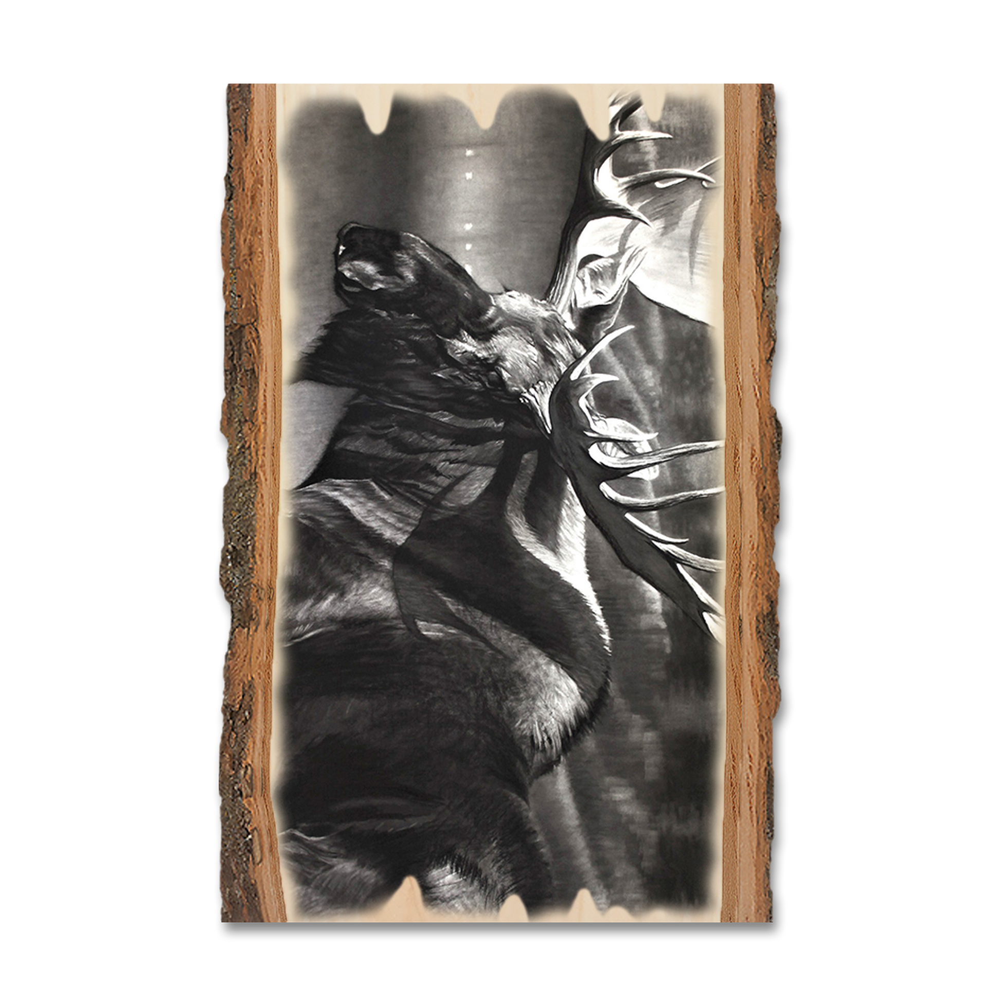 Ornament: Live Edge - Johnson's Boreals Beast