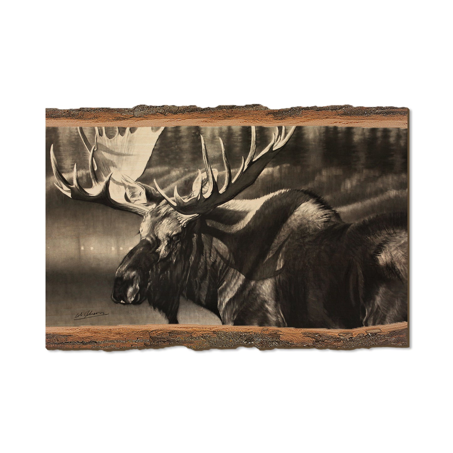 Johnson's Boreals Beast - Live Edge Live Edge Postcard (5pk // $2.80ea)