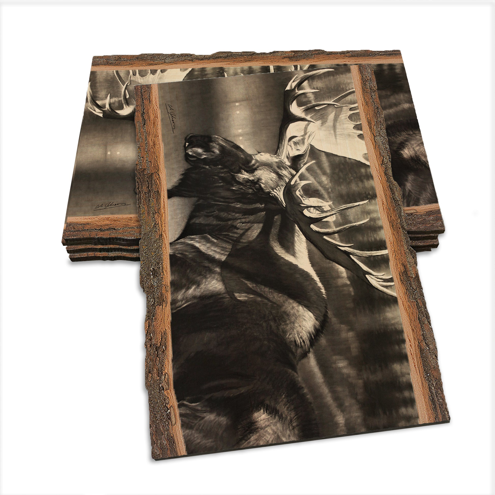 Johnson's Boreals Beast - Live Edge Live Edge Postcard (5pk // $2.80ea)