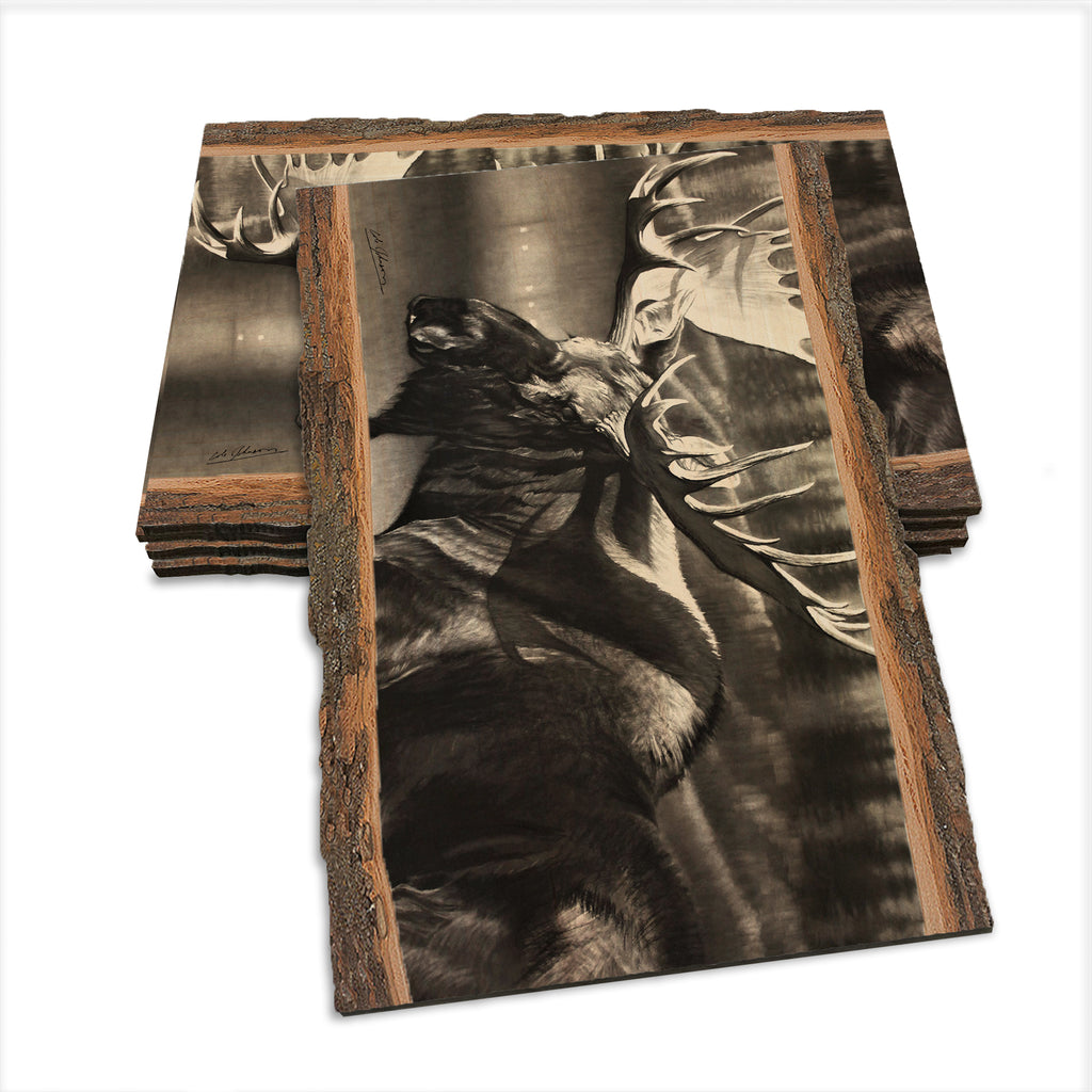 Johnson's Boreals Beast - Live Edge Live Edge Postcard (5pk // $2.80ea)