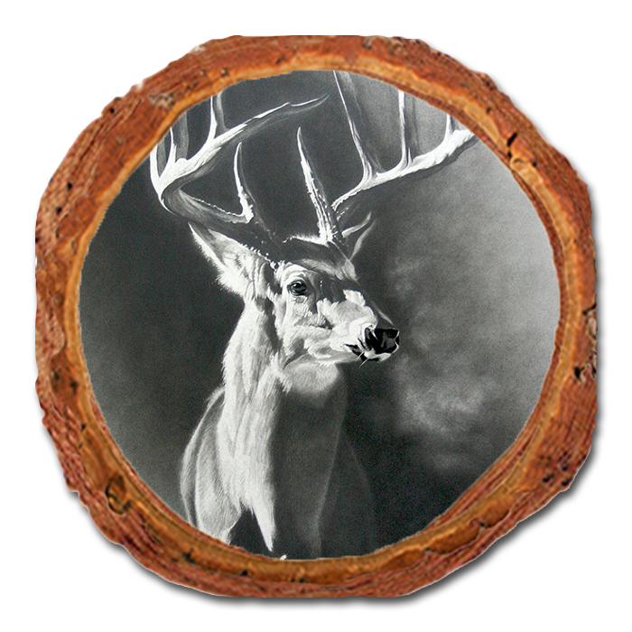 Coaster: Live Edge - Johnson's Big Hoss