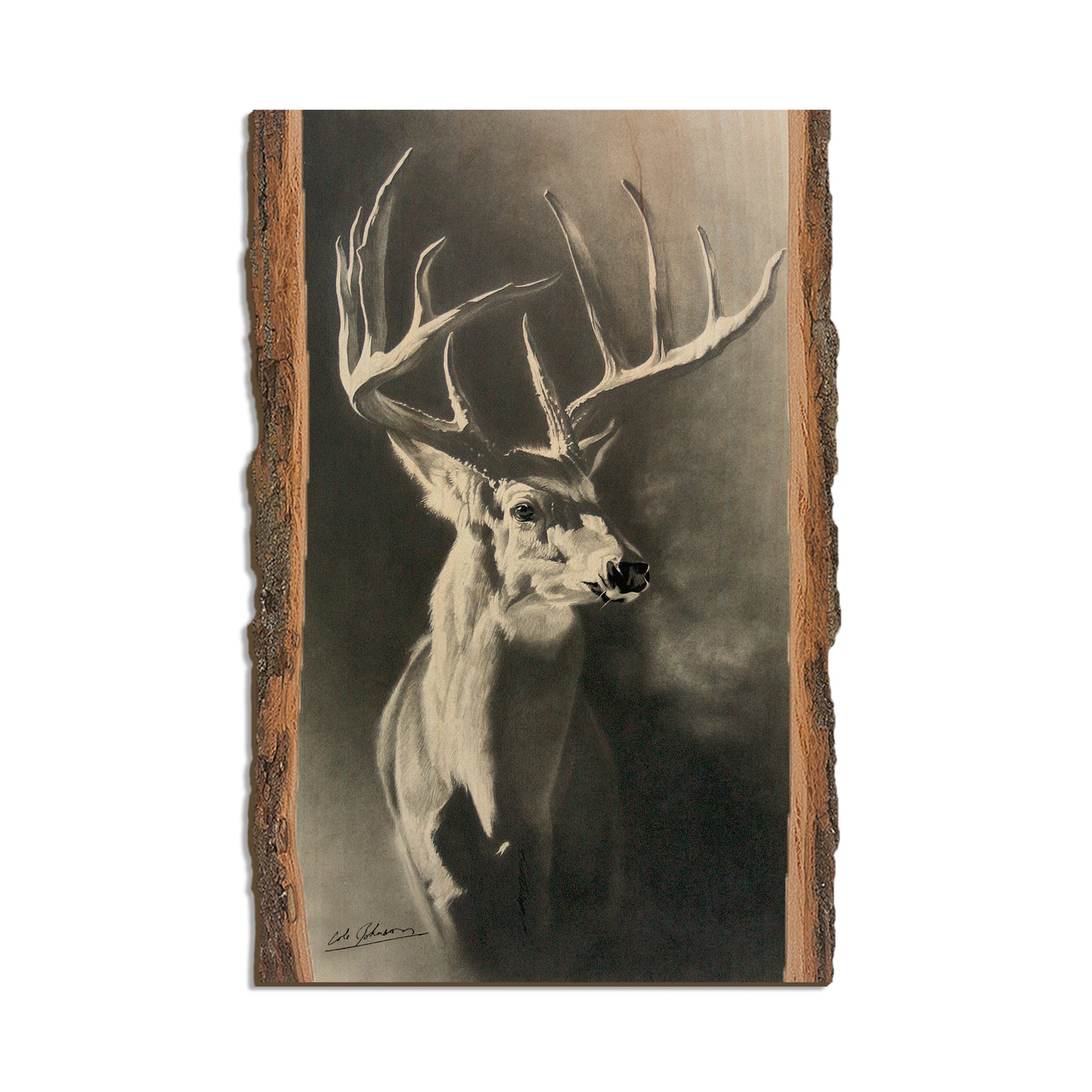 Johnson's Big Hoss - Live Edge Live Edge Postcard (5pk // $2.80ea)