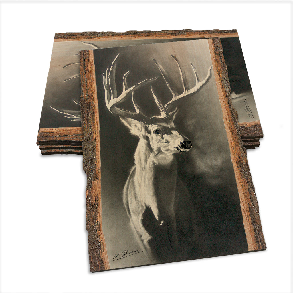 Johnson's Big Hoss - Live Edge Live Edge Postcard (5pk // $2.80ea)