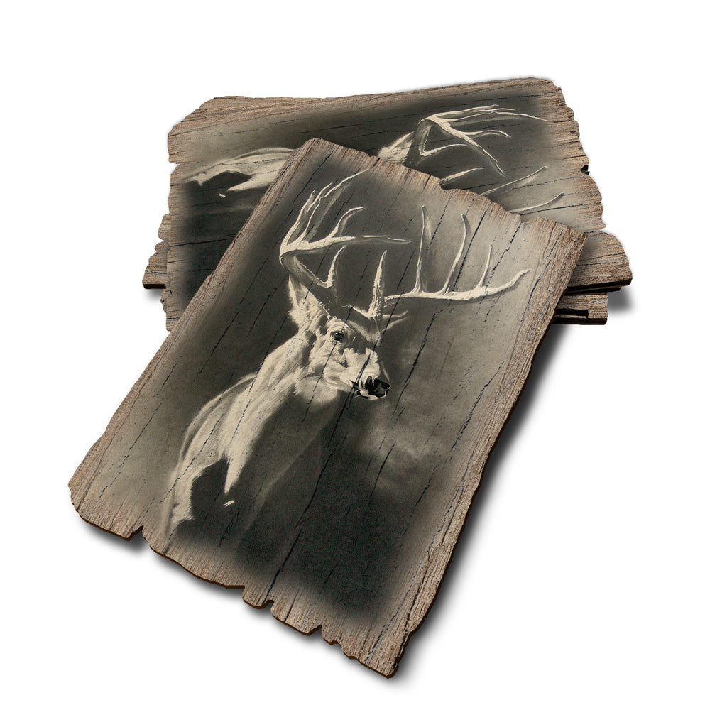 Johnson's Big Hoss - Weathered Edge Rustic Edge Postcard (5pk // $2.80ea)