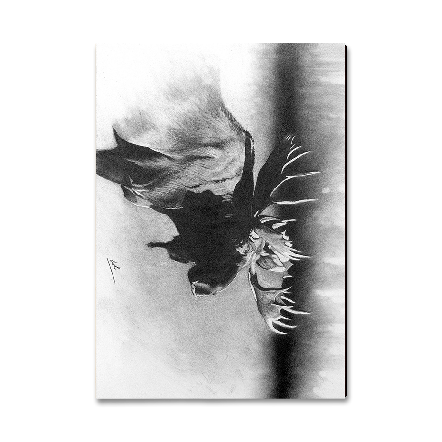 Greeting Card: Classic Edge - Johnson's Bull Moose