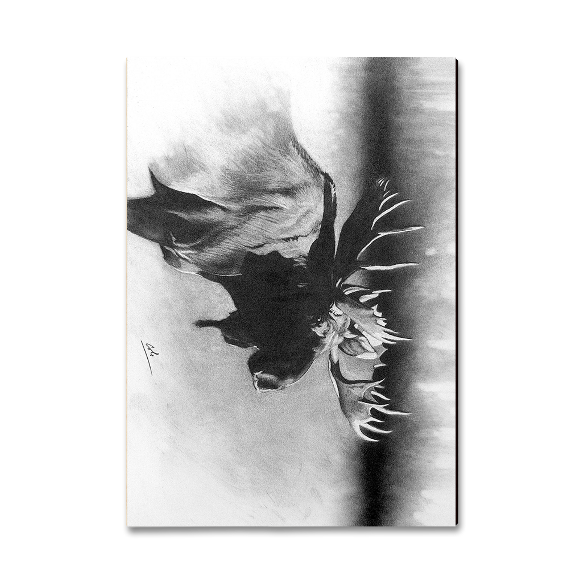 Greeting Card: Classic Edge - Johnson's Bull Moose