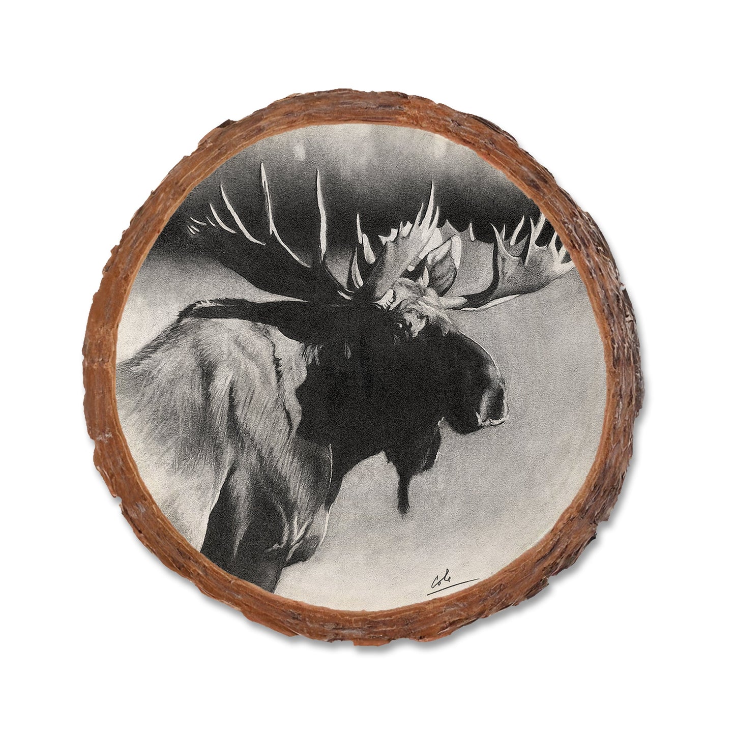 Johnson's Bull Moose - Live Edge Live Edge Coaster (5pk // $2.80ea)