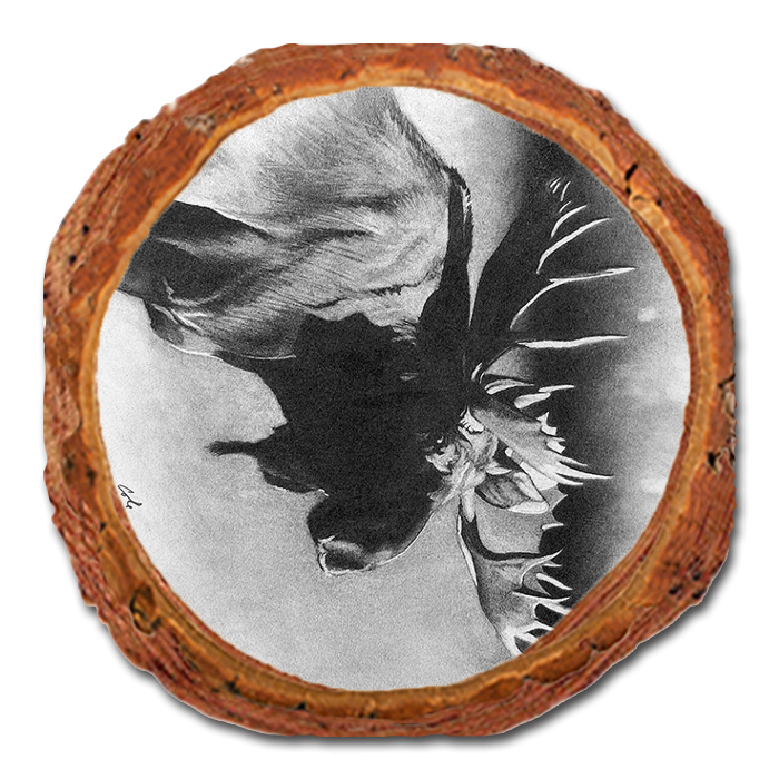 Coaster: Live Edge - Johnson's Bull Moose (Pack of 5)