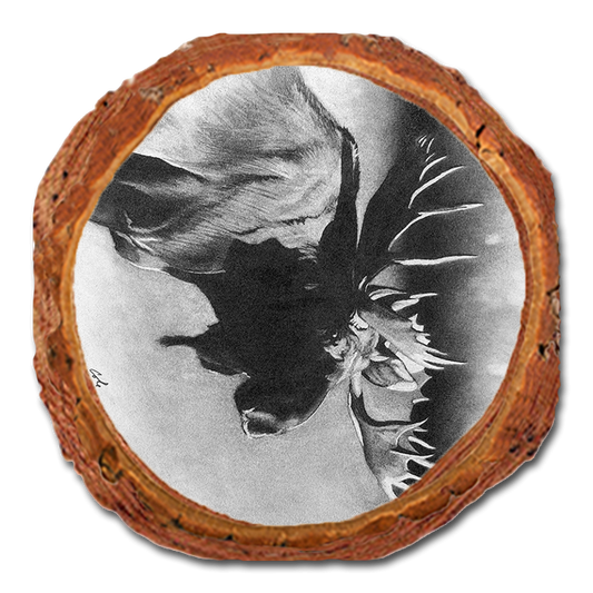 Coaster: Live Edge - Johnson's Bull Moose (Pack of 5)