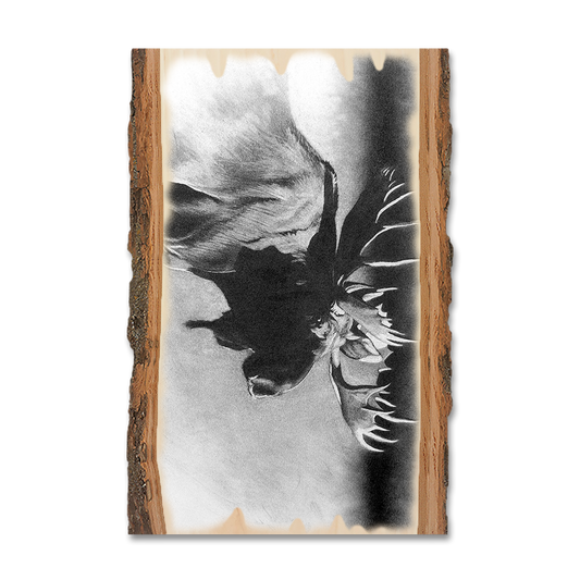 Magnet: Live Edge - Johnson's Bull Moose