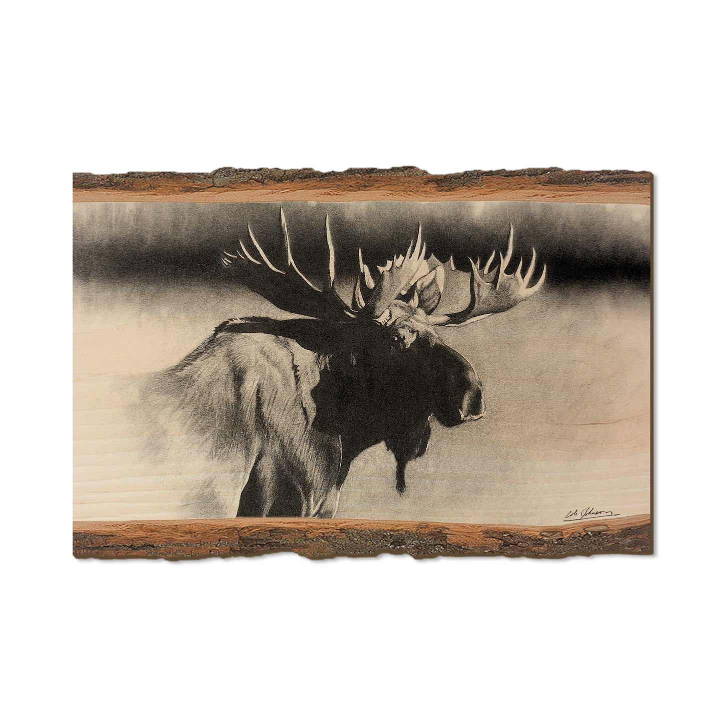 Johnson's Bull Moose - Live Edge Live Edge Postcard (5pk // $2.80ea)