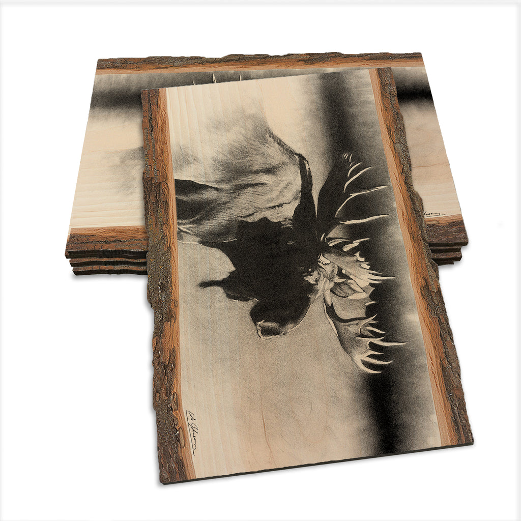 Johnson's Bull Moose - Live Edge Live Edge Postcard (5pk // $2.80ea)