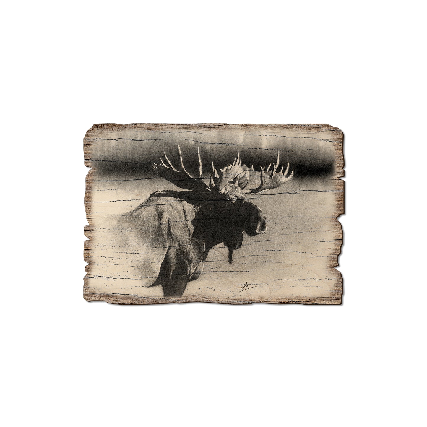 Johnson's Bull Moose - Rustic Edge Postcards & Magnets Rustic Edge Magnet (5pk // $2.80ea)
