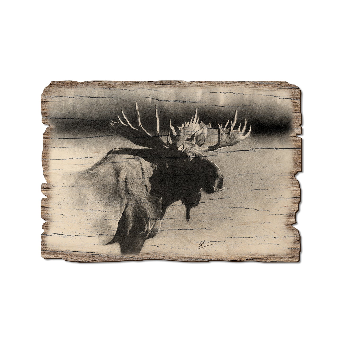 Johnson's Bull Moose - Rustic Edge Postcards & Magnets Rustic Edge Postcard (5pk // $2.80ea)