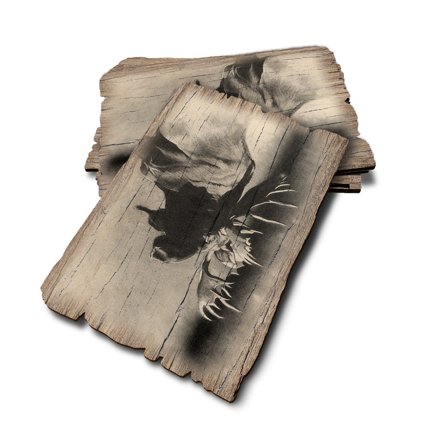 Johnson's Bull Moose - Weathered Edge Rustic Edge Postcard (5pk // $2.80ea)