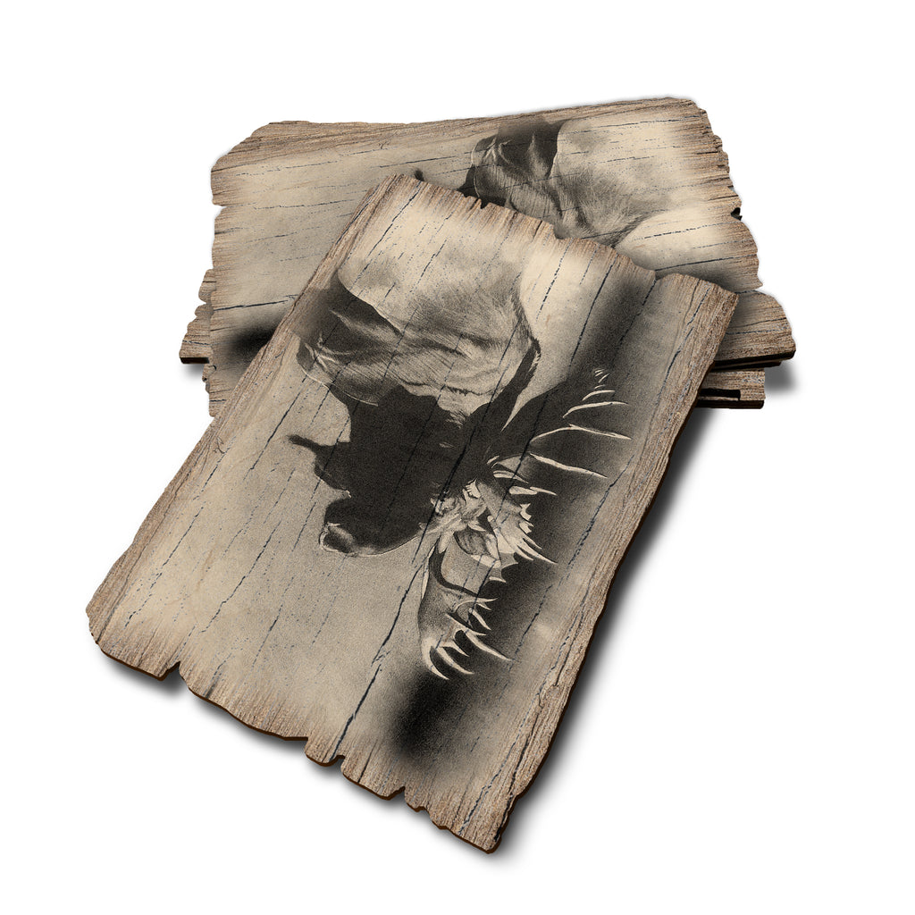 Johnson's Bull Moose - Weathered Edge Rustic Edge Postcard (5pk // $2.80ea)