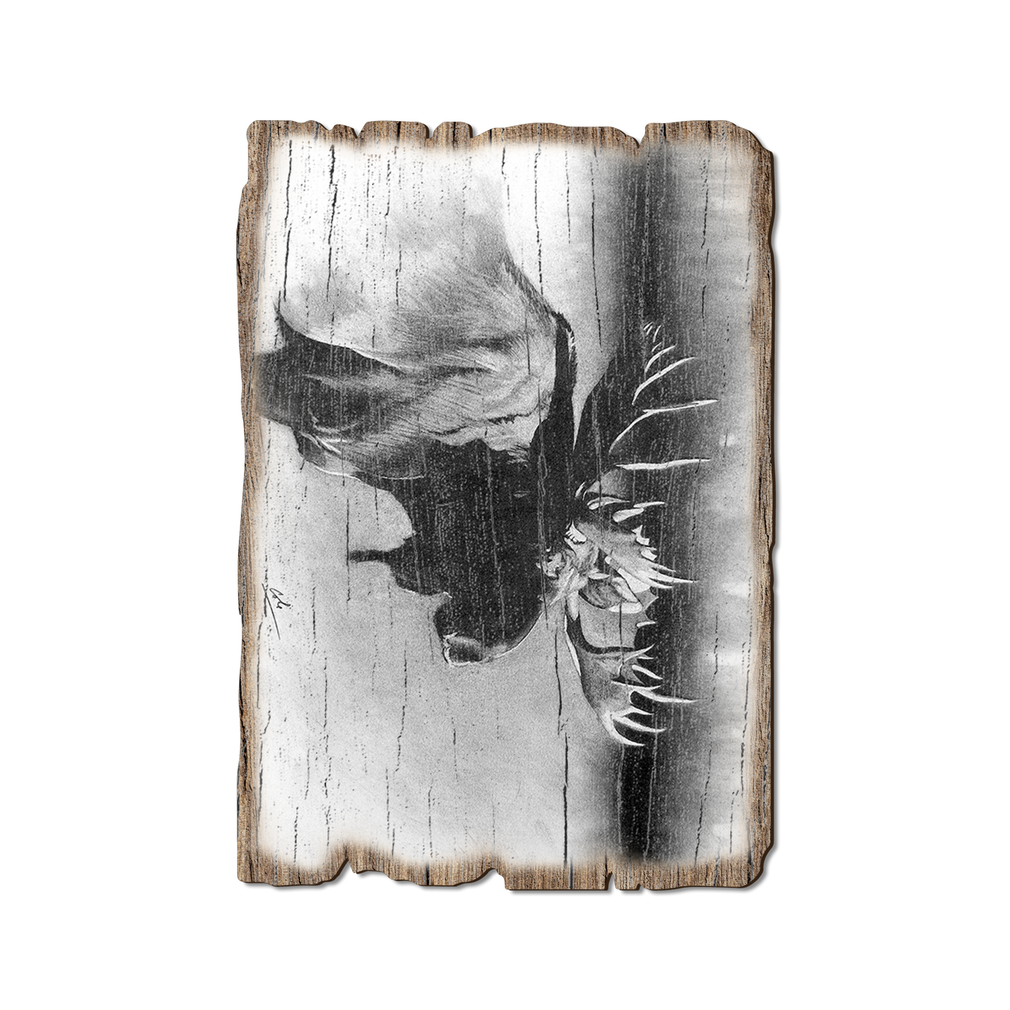 Greeting Card: Weathered Edge - Johnson's Bull Moose