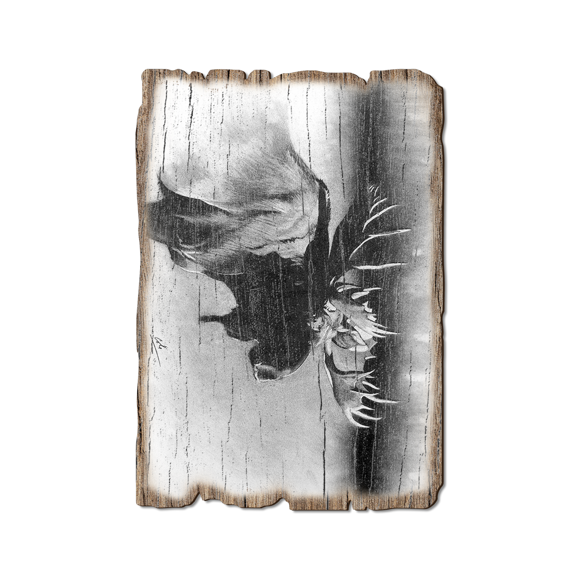 Postcard: Weathered Edge - Johnson's Bull Moose