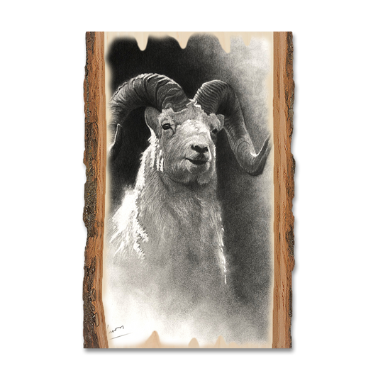 Greeting Card: Live Edge - Johnson's Dramatic Dall