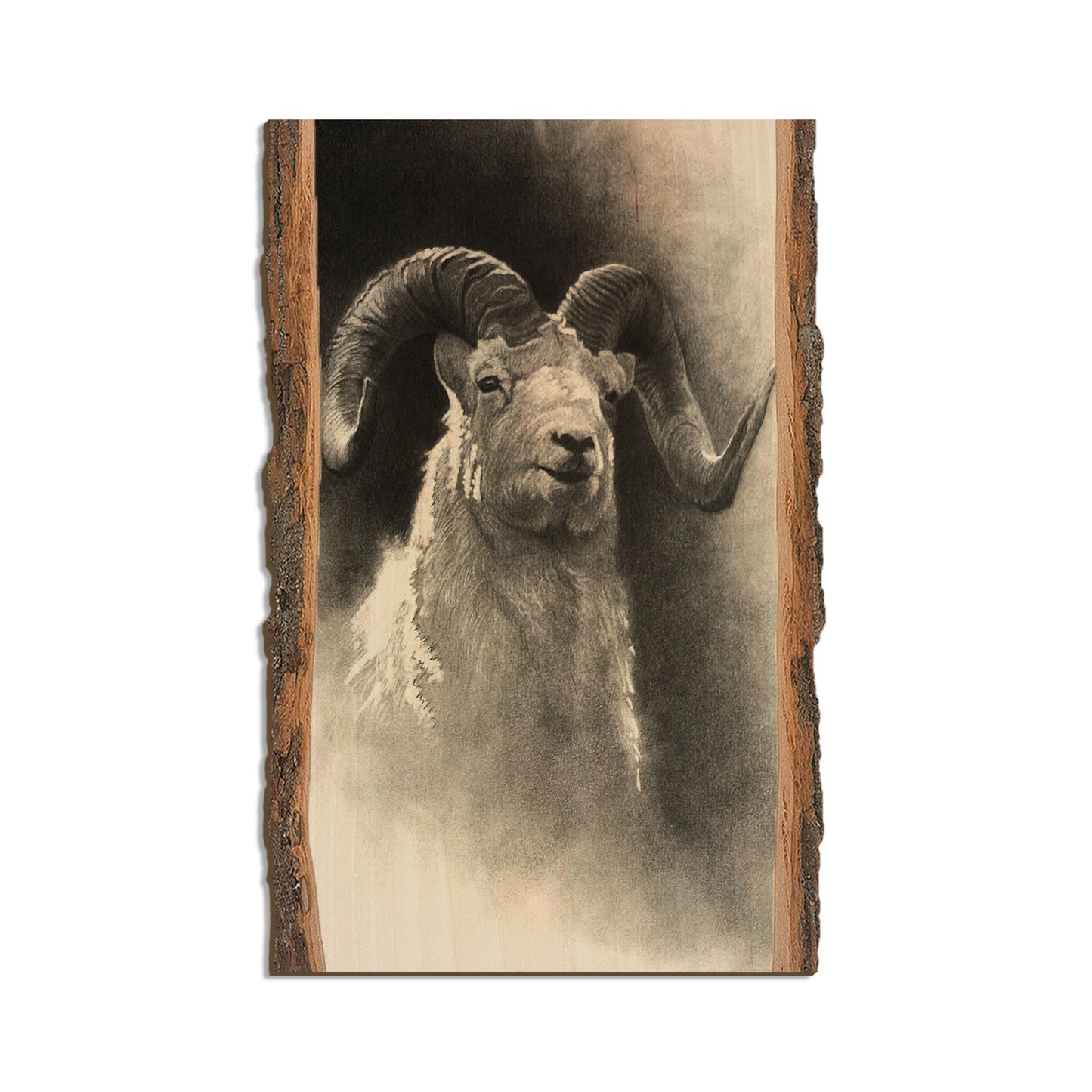 Johnson's Dramatic Dall - Live Edge Live Edge Magnet (5pk // $2.80ea)