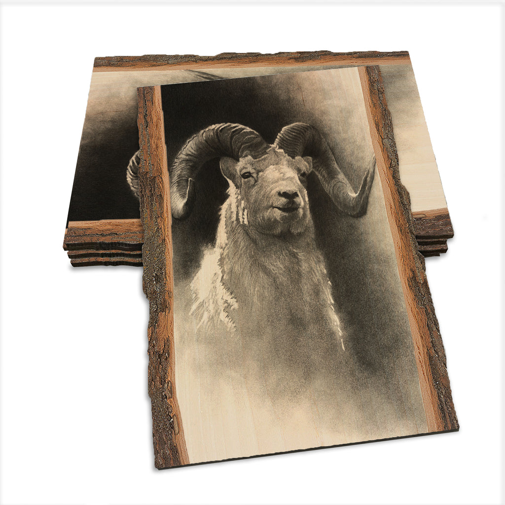 Johnson's Dramatic Dall - Live Edge Live Edge Postcard (5pk // $2.80ea)