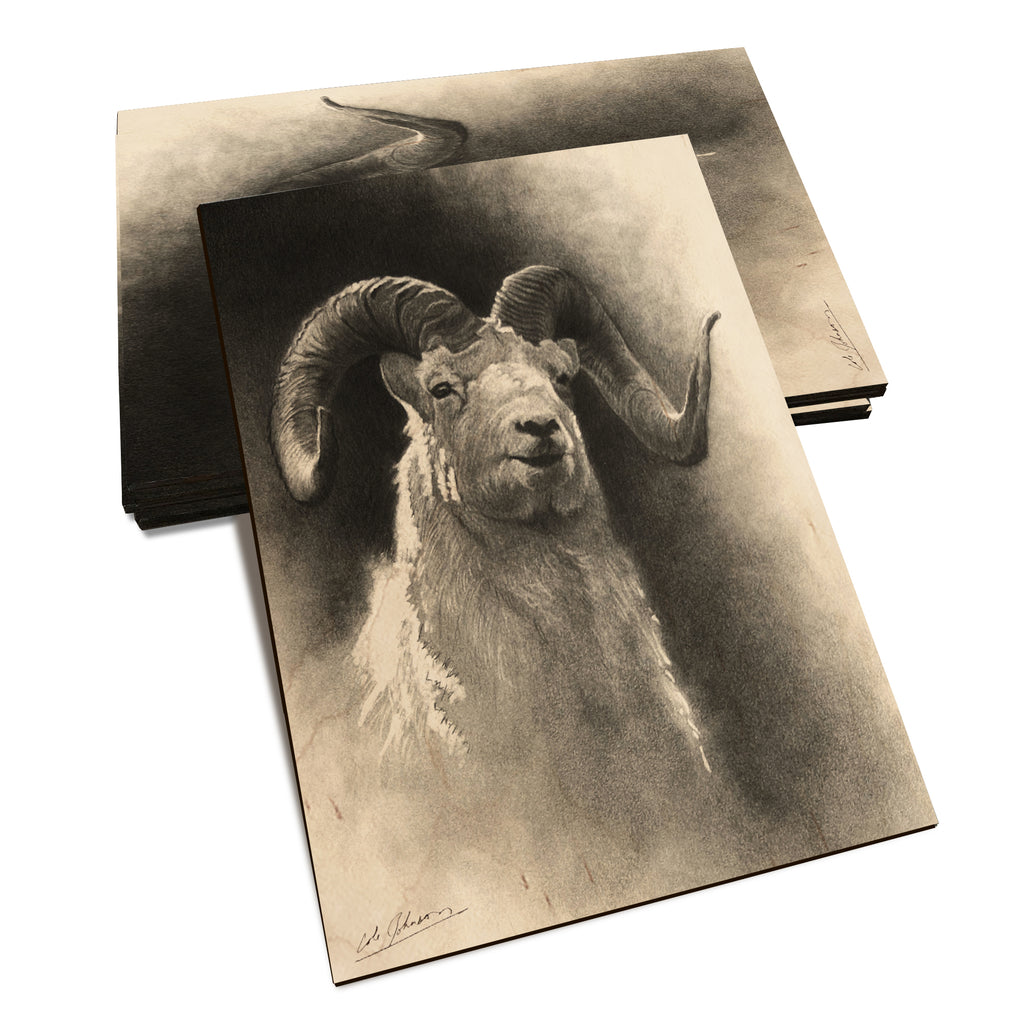 Johnson's Dramatic Dall - Classic Edge Classic Edge Postcard (5pk // $2.80ea)