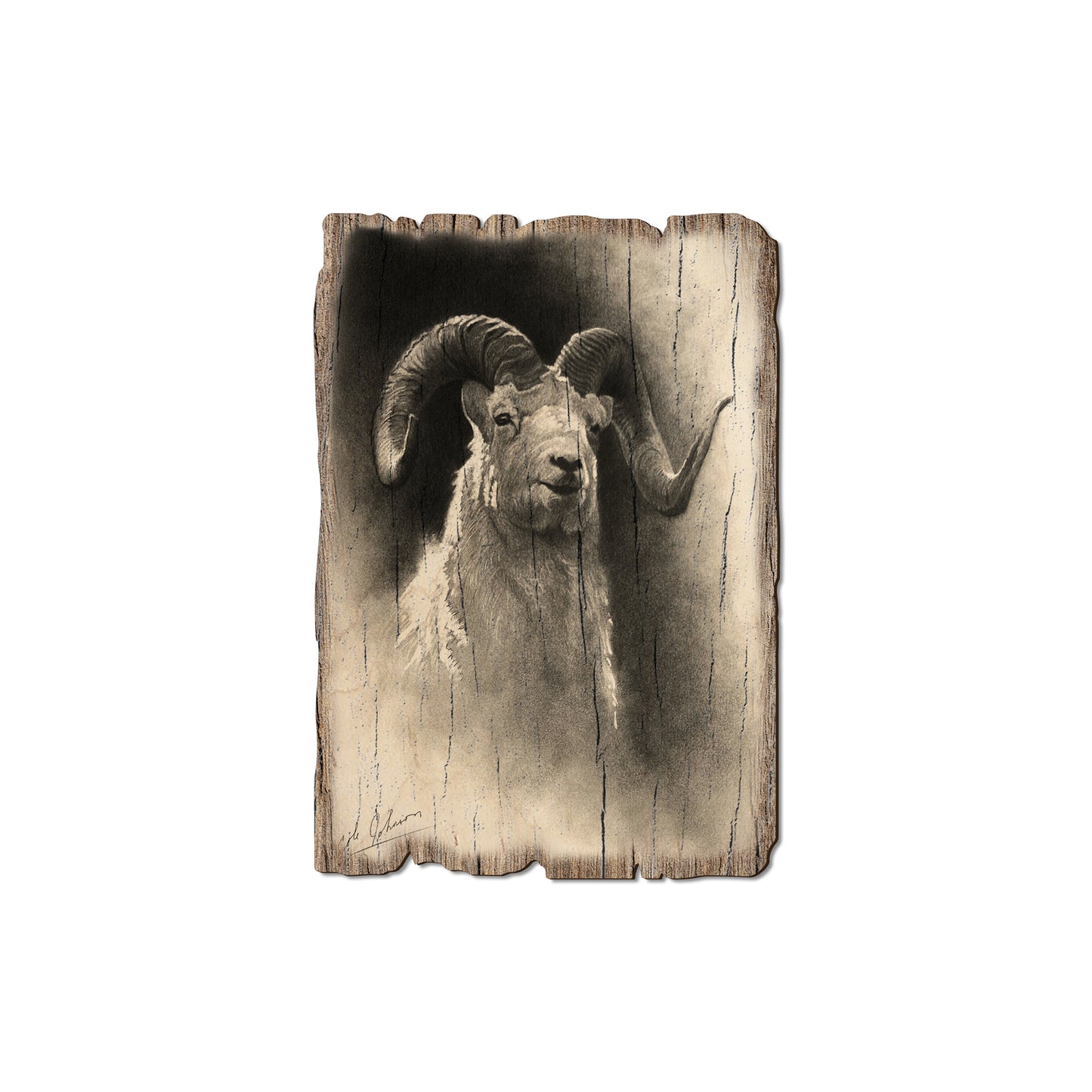 Johnson's Dramatic Dall - Rustic Edge Postcards & Magnets Rustic Edge Magnet (5pk // $2.80ea)