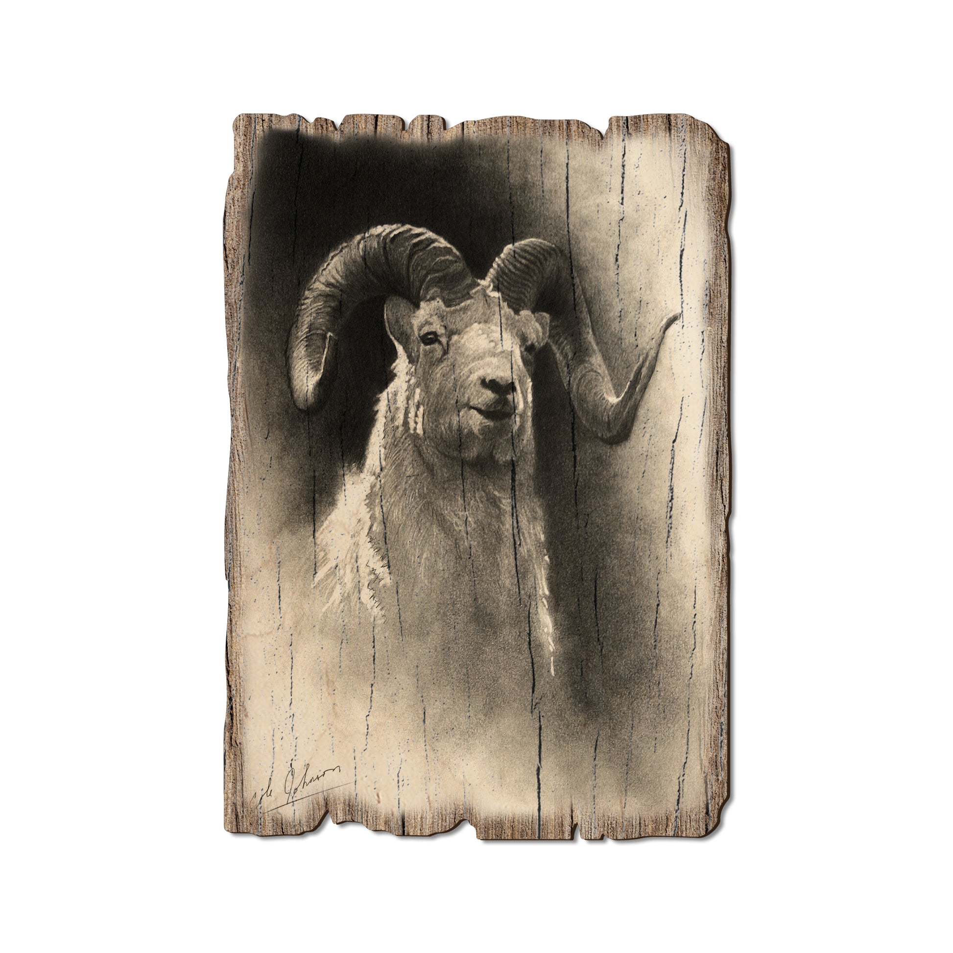 Johnson's Dramatic Dall - Rustic Edge Postcards & Magnets Rustic Edge Postcard (5pk // $2.80ea)