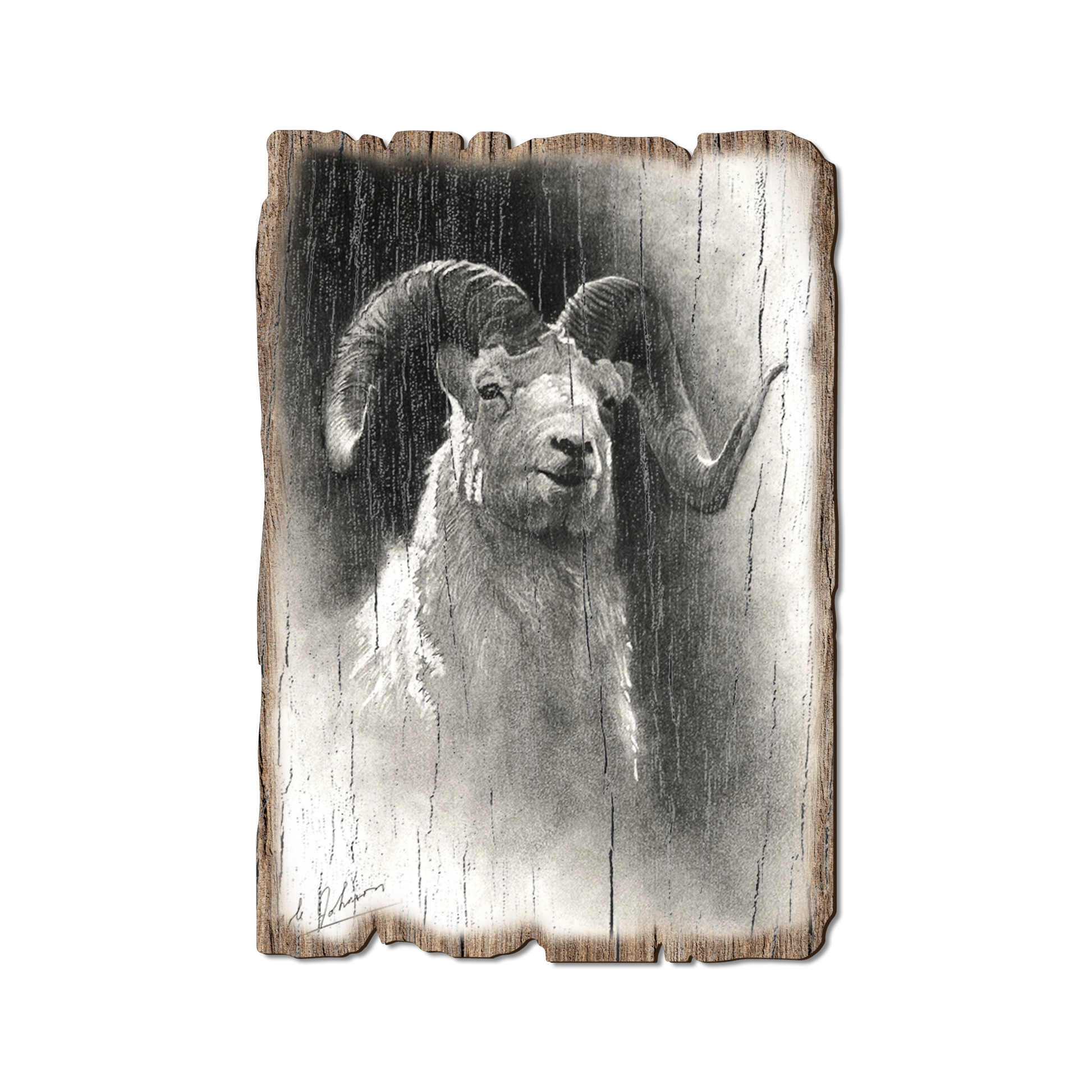 Greeting Card: Weathered Edge - Johnson's Dramatic Dall
