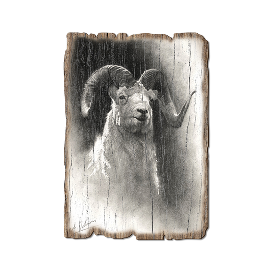 Greeting Card: Weathered Edge - Johnson's Dramatic Dall