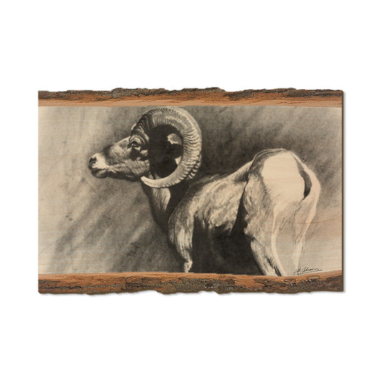 Johnson's Desert Ram - Live Edge Live Edge Postcard (5pk // $2.80ea)