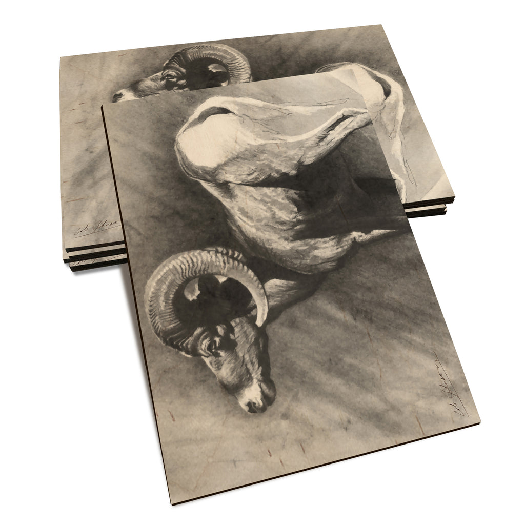 Johnson's Desert Ram - Classic Edge Classic Edge Postcard (5pk // $2.80ea)
