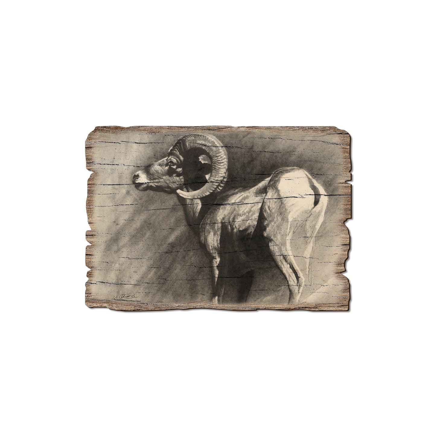Johnson's Desert Ram - Rustic Edge Postcards & Magnets Rustic Edge Magnet (5pk // $2.80ea)