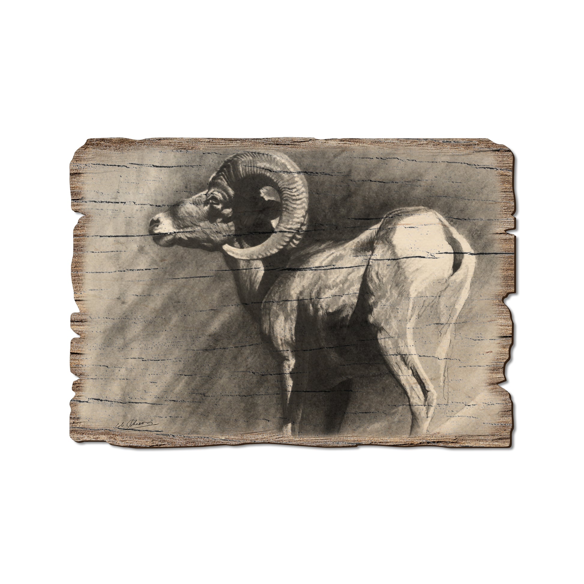 Johnson's Desert Ram - Rustic Edge Postcards & Magnets Rustic Edge Postcard (5pk // $2.80ea)