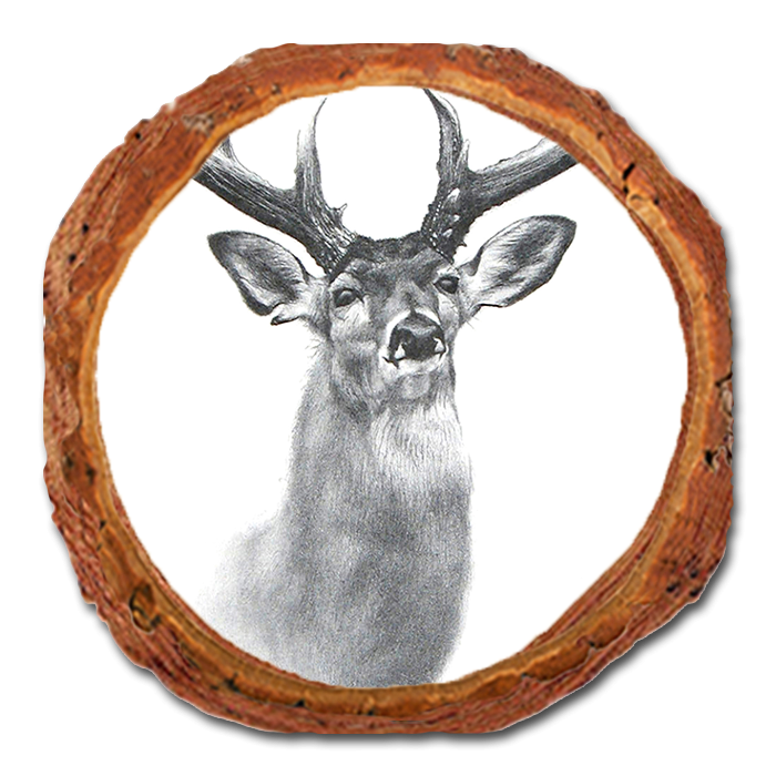 Coaster: Live Edge - Johnson's Good Genes (Pack of 5)