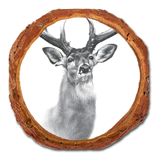 Coaster: Live Edge - Johnson's Good Genes (Pack of 5)