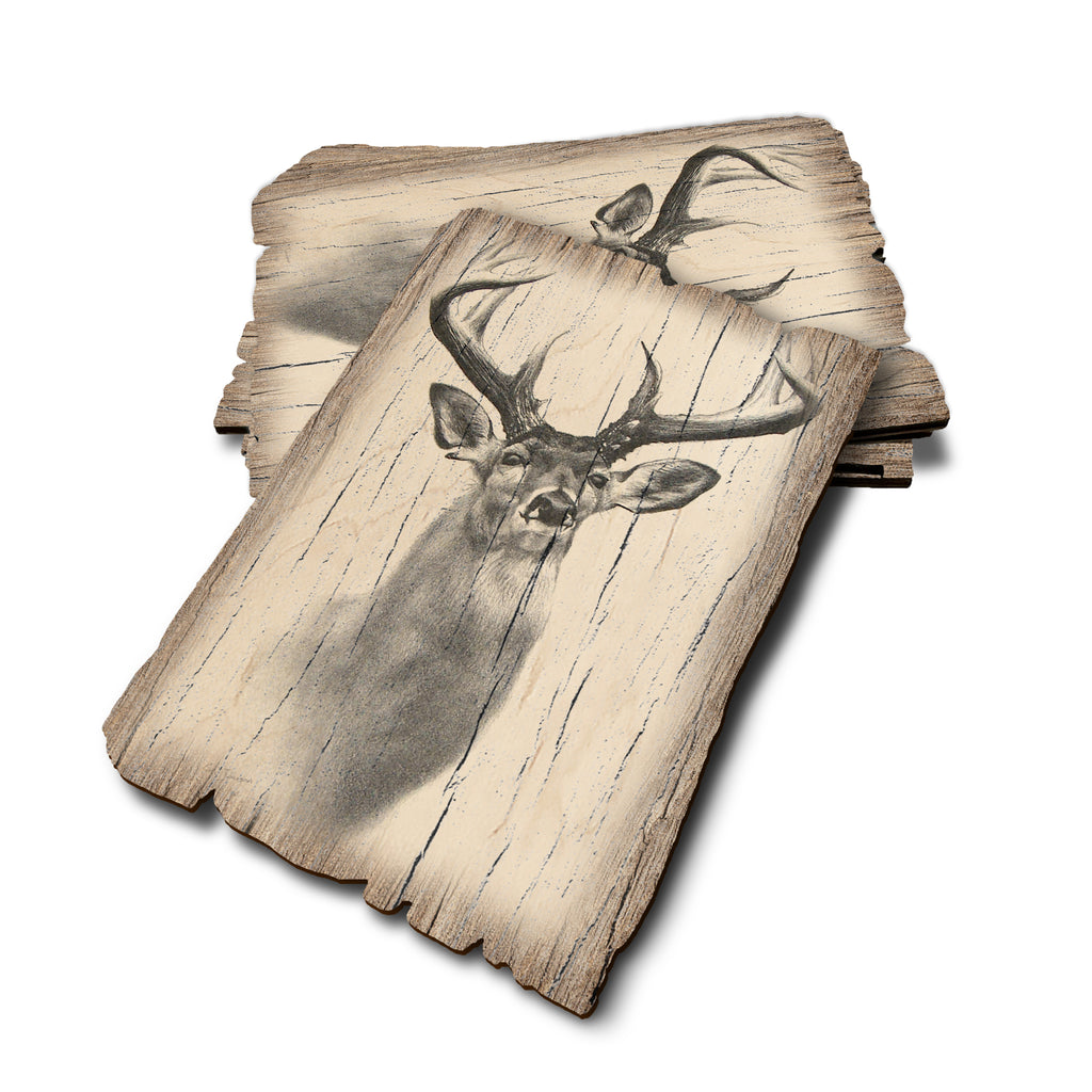 Johnson's Good Genes - Weathered Edge Rustic Edge Postcard (5pk // $2.80ea)