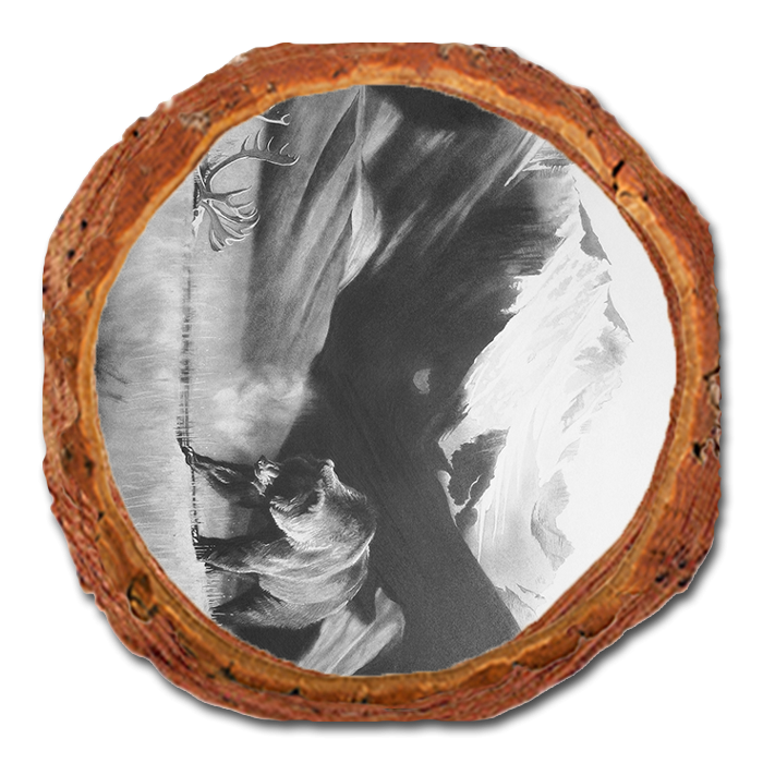 Coaster: Live Edge - Johnson's Grizz with Rack (Pack of 5)