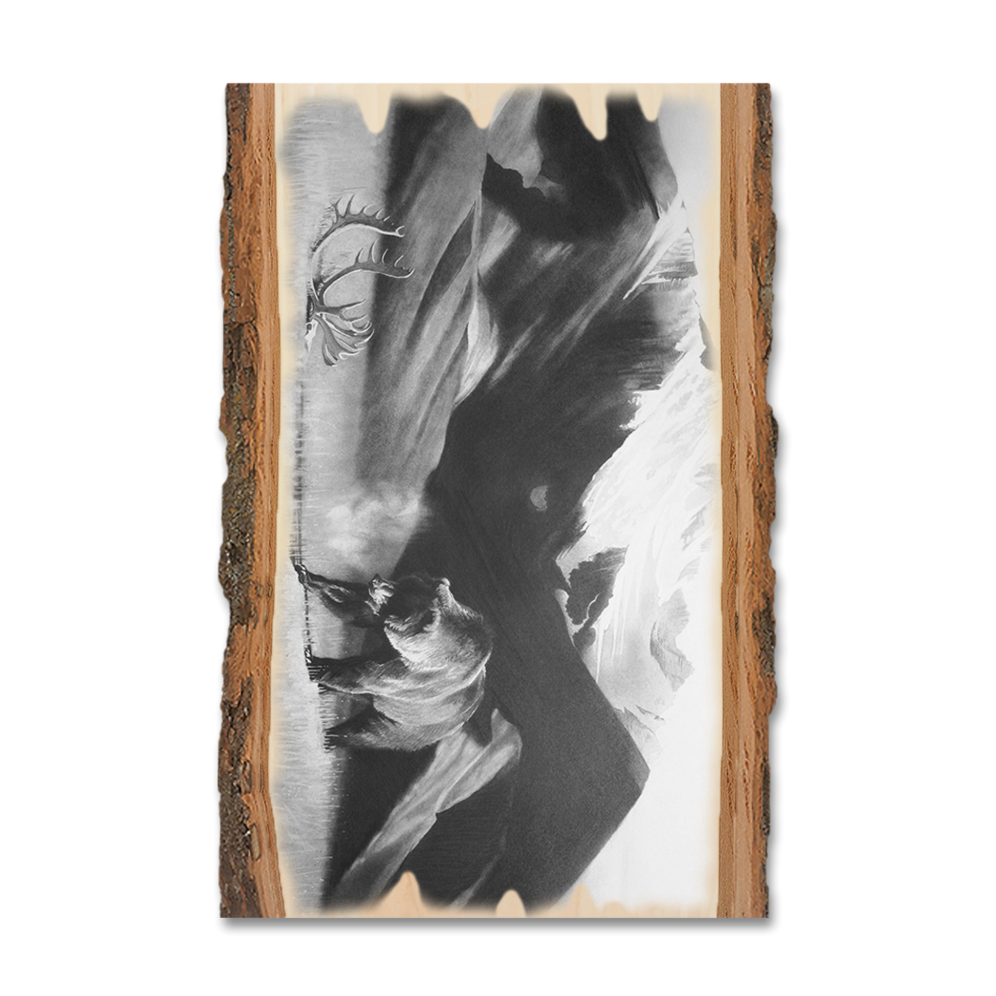 Greeting Card: Live Edge - Johnson's Grizz with Rack (Pack of 5)