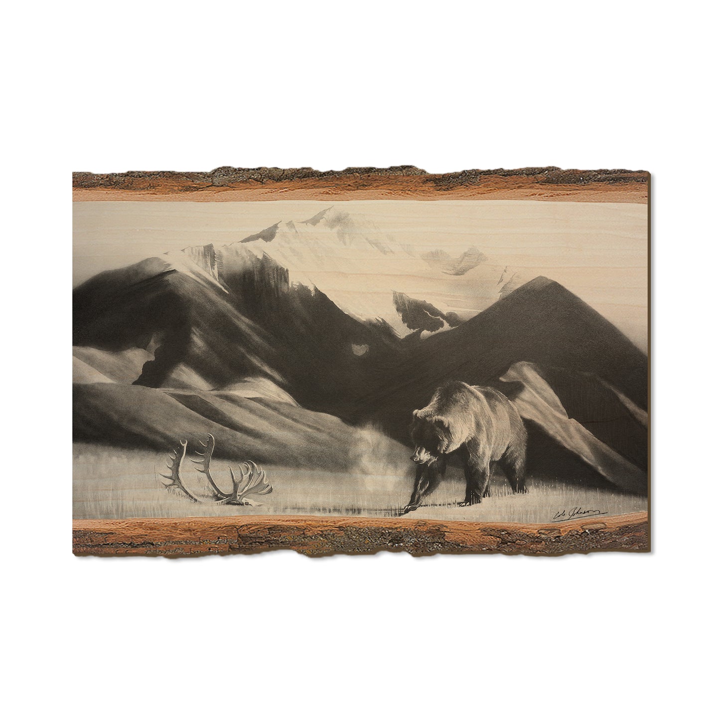 Johnson's Grizz with Rack - Live Edge Live Edge Postcard (5pk // $2.80ea)