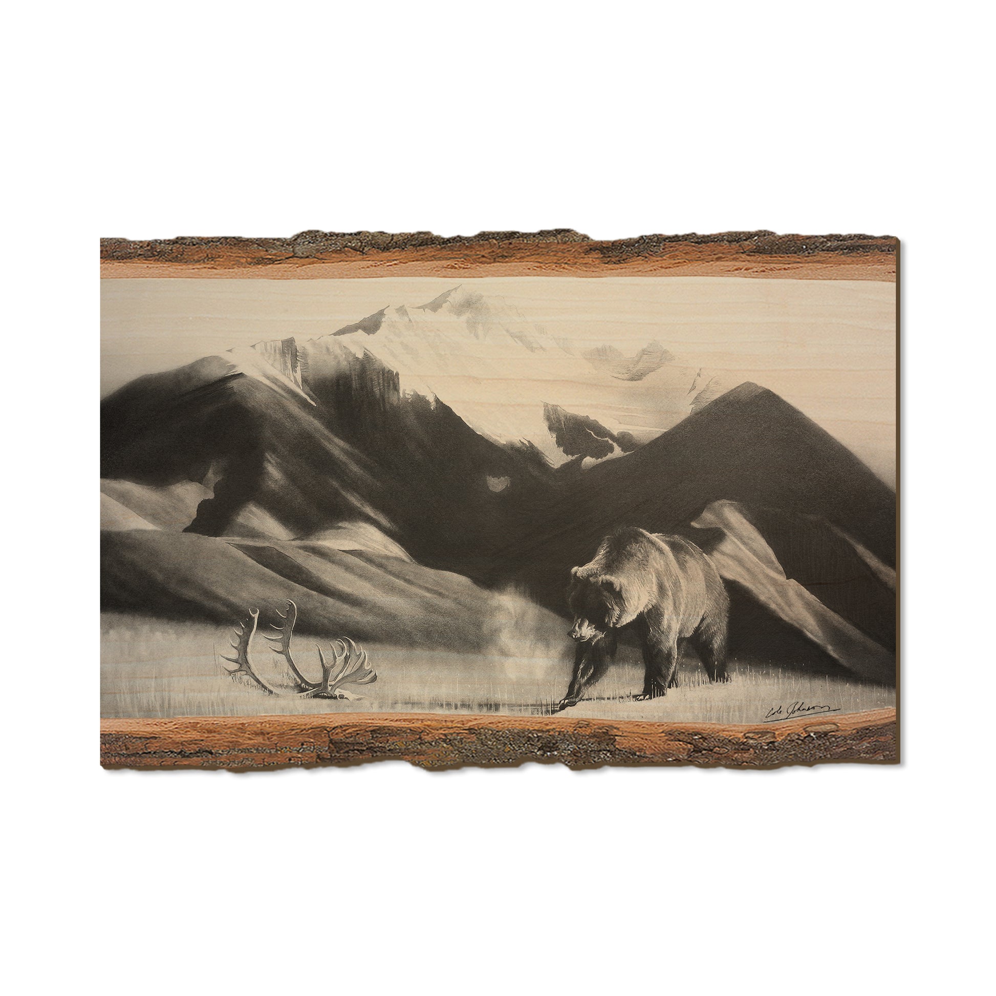Johnson's Grizz with Rack - Live Edge Live Edge Postcard (5pk // $2.80ea)
