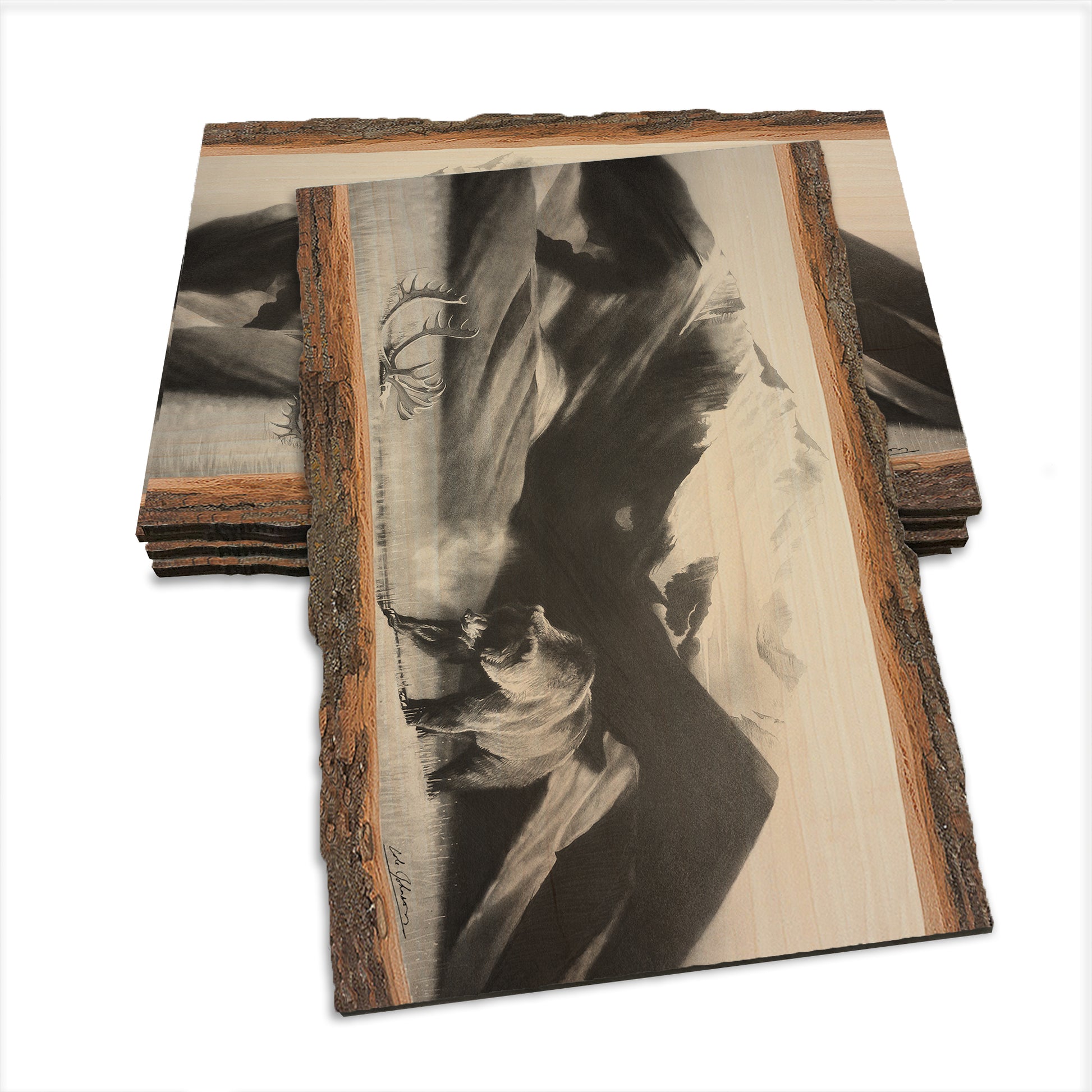Johnson's Grizz with Rack - Live Edge Live Edge Postcard (5pk // $2.80ea)